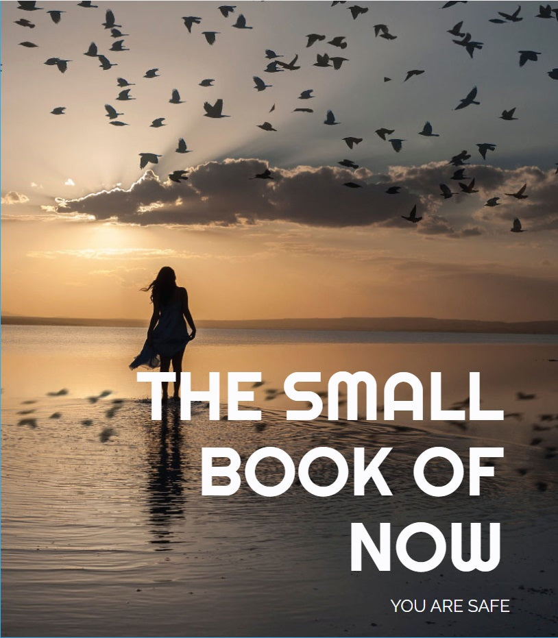 The Small Book Of Now